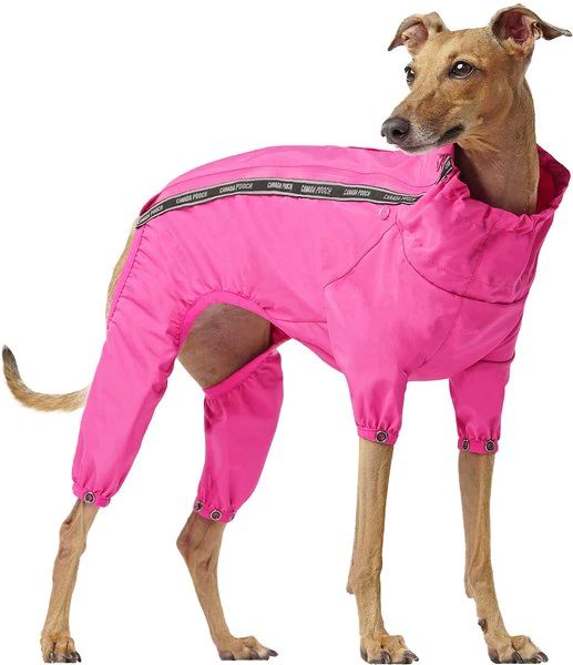 Canada Pooch The Slush Dog Suit | Chewy.com