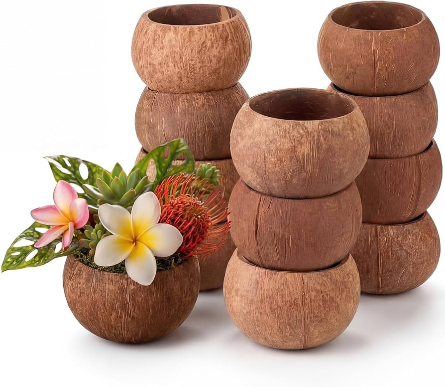LemonRoad 12 Pcs Natural Coconut Shell Bowls 3.94-5.12" Coconut Shells Halves Wooden Bowls Rustic... | Amazon (US)