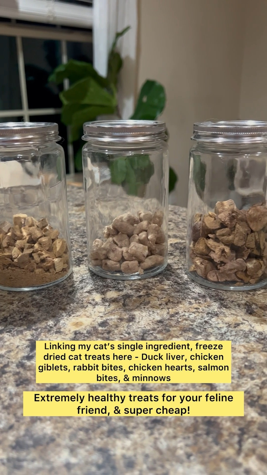 My cat’s single ingredient, freeze dried treats! #LTKcats #LTKpetcare #LTKpets #LTKorganization

#LTKHome