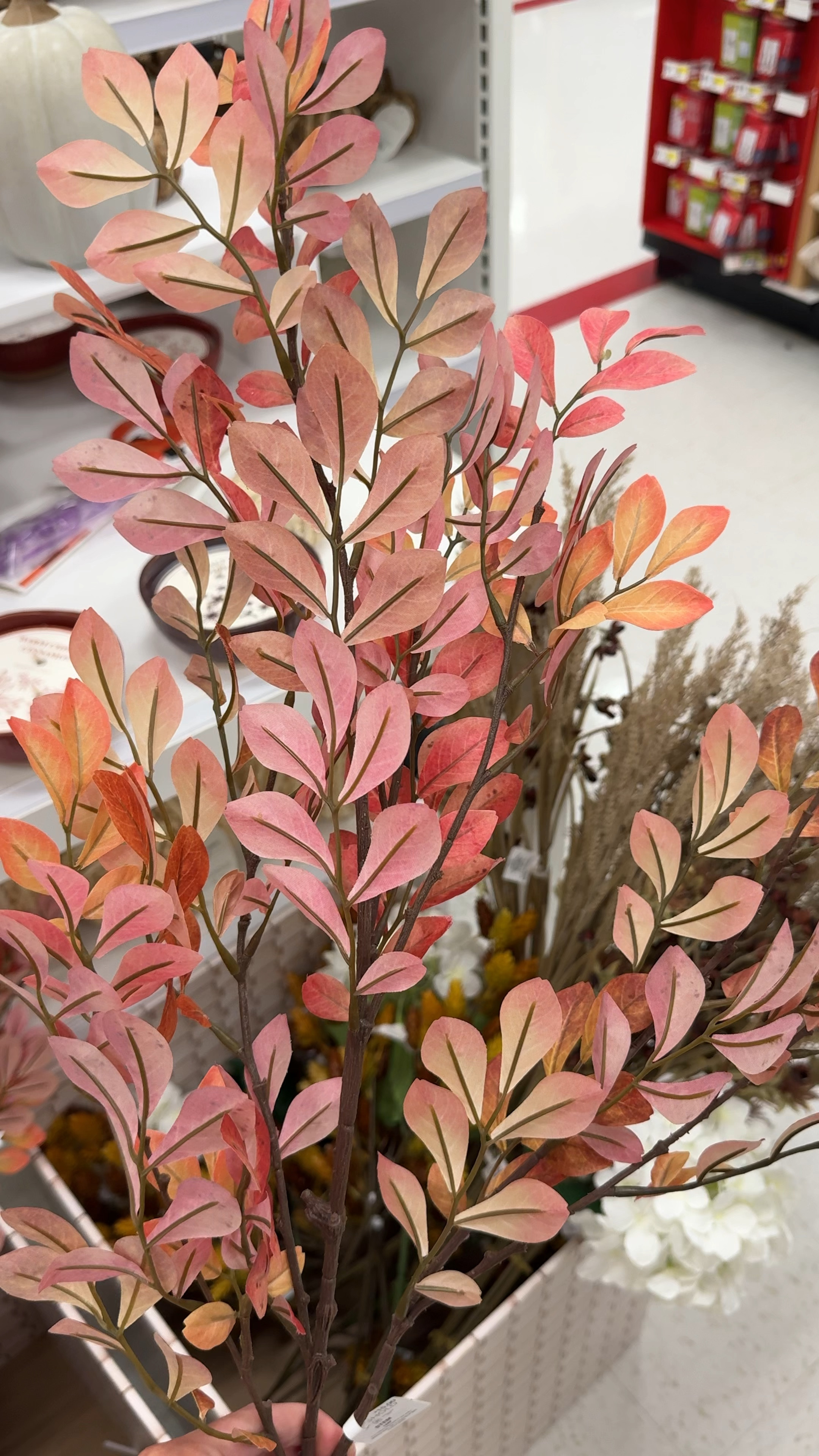 Fall finds at target 
Cozy fall home decor 

#LTKHome #LTKFindsUnder50 #LTKSeasonal