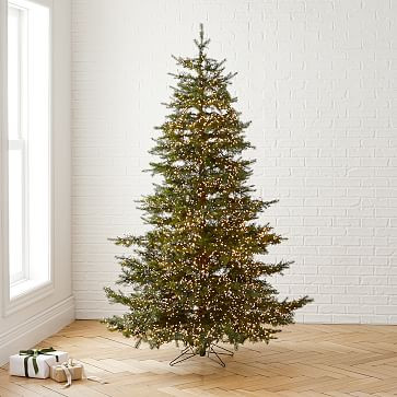 Monaco Pine Tree | West Elm (US)