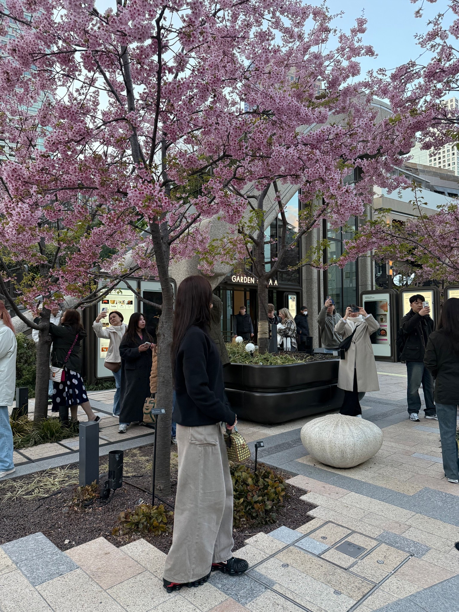 Spotted some cherry blossoms 🌸 



#LTKbag #LTKshoes #LTKtravel