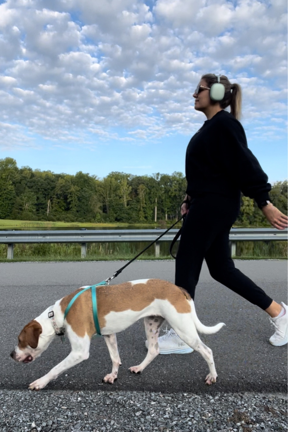 Walking outfit! Nike sweatshirt, Zella joggers, white Hoka sneakers. Everything TTS.

#LTKfindsunder100 #LTKfitness