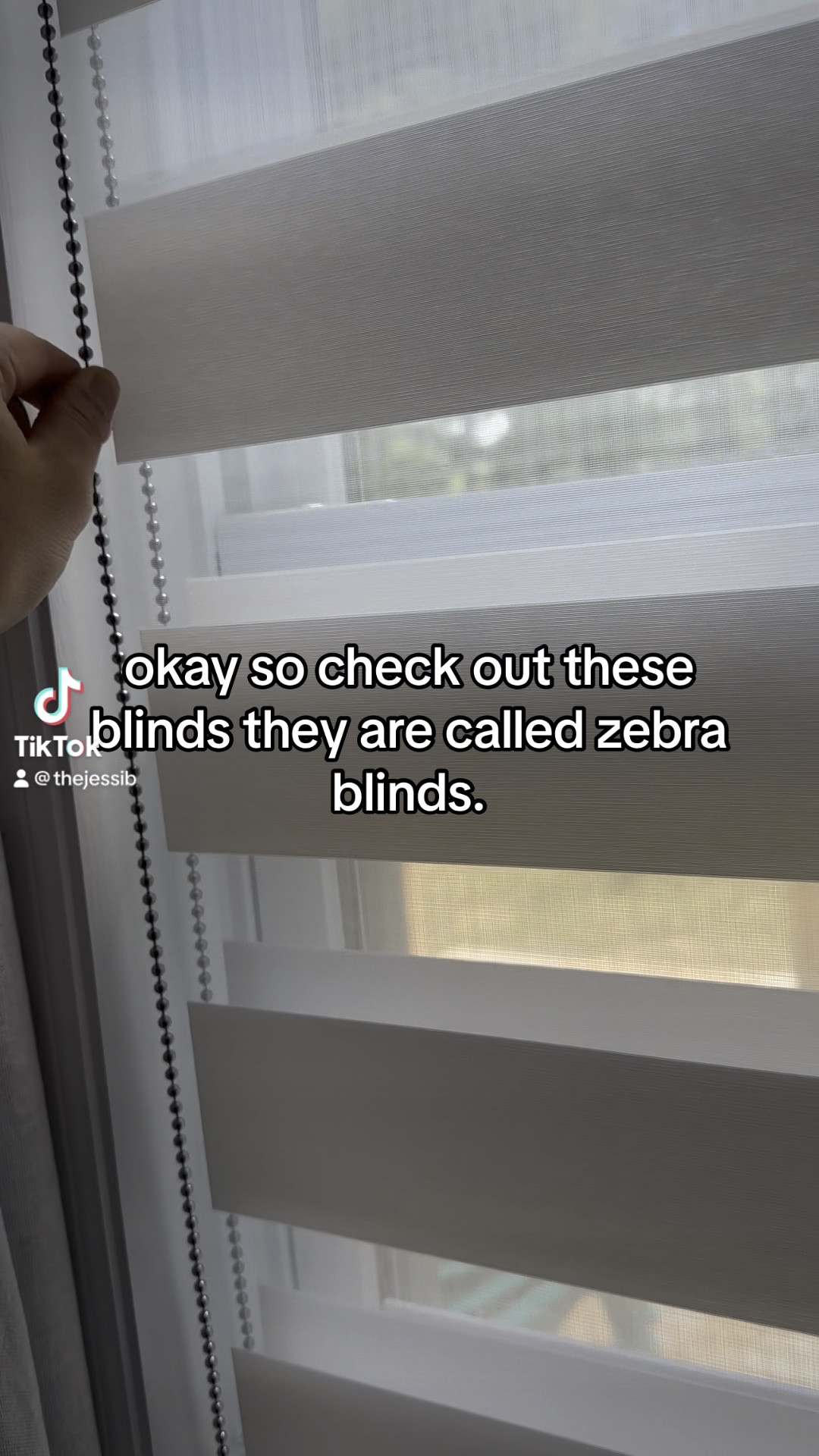 New blinds ! Grabs yours on amazon! Only took me about 5mins to install. #zebrablinds #amazonfinds 

#LTKhome #LTKunder50 #LTKFind