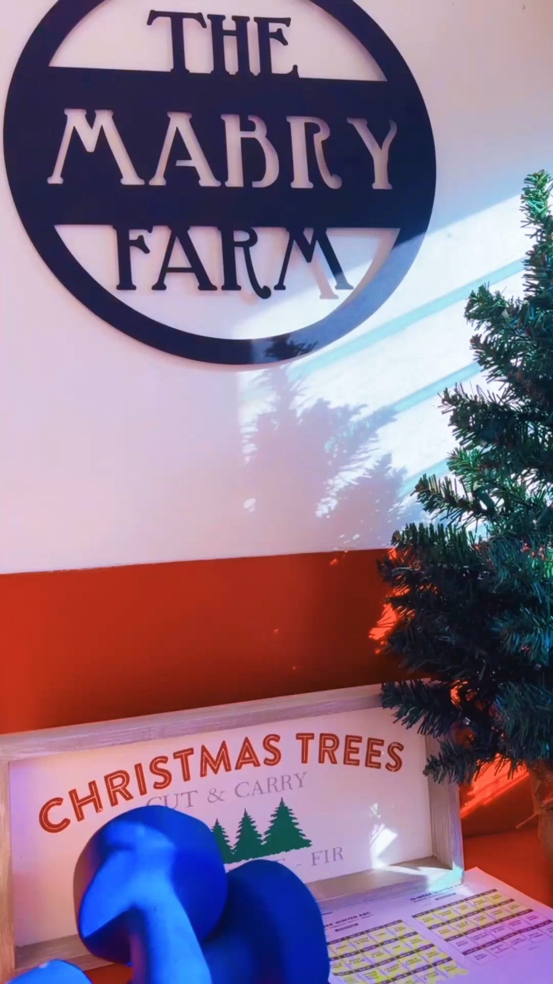 Week 6 done ✔️ of my @nourishmovelove “Winter Arc” program ✨ I share about it every week, but I highly recommend 👏🏽 for any busy mamas wanting to incorporate 20-30 minute strength training workouts!! I have loved adding it on to whatever cardio I am doing for the day!! 🫶🏽