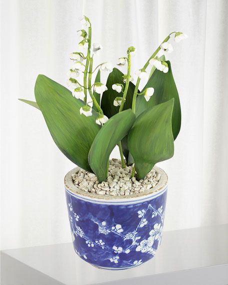 Charlotte Moss for Tommy Mitchell Lily of the Valley May Birth Flower in Ceramic Pot | Bergdorf Goodman