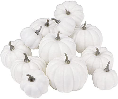 KY-YPFW 12 PCS Artificial Assorted White Small Pumpkins - Fake Mini Foam Craft Pumpkins Vegetable... | Amazon (US)