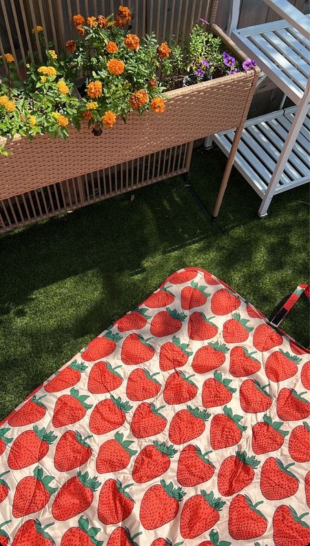 Strawberry picnic blanket! 

#LTKActive #LTKHome #LTKSeasonal