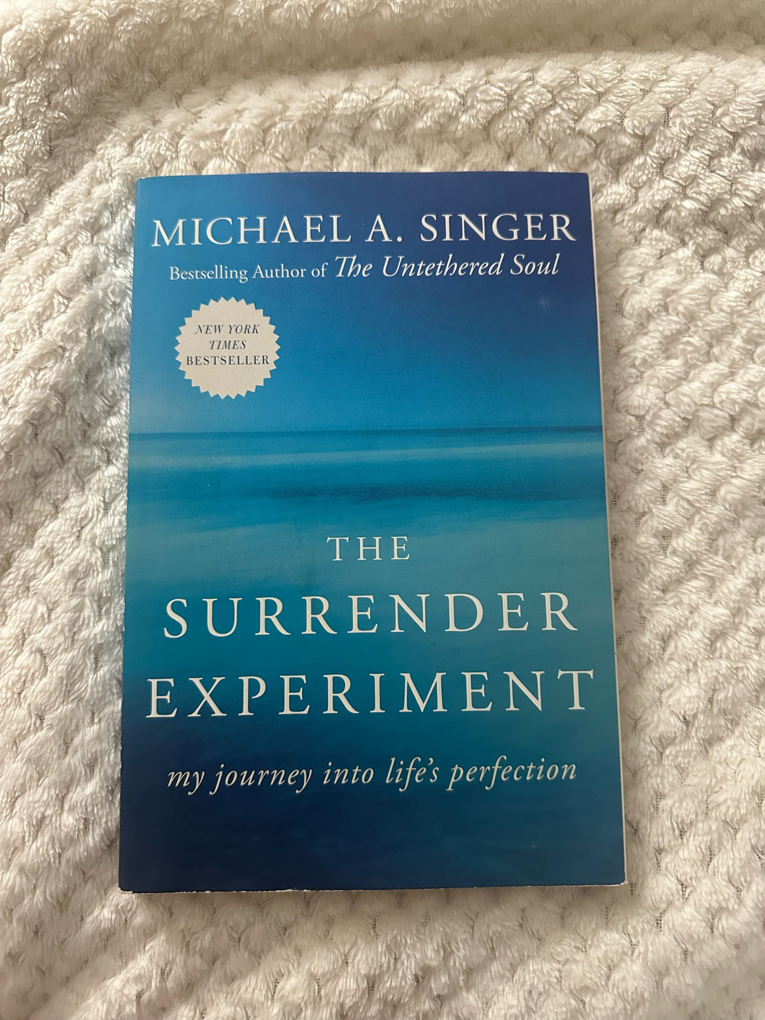 After I read The Untethered Soul I had to read The Surrender Experiment. I love the way Michael Singer writes. It feels like he’s sitting next to me and telling me his life story when I read this book. He is so good at drilling a concept into your brain and making you fully agree with him. In this book, he talks about surrendering your decisions to the universe and following your intuition. In doing this, you will live a life beyond your wildest dreams, just like he did 💙