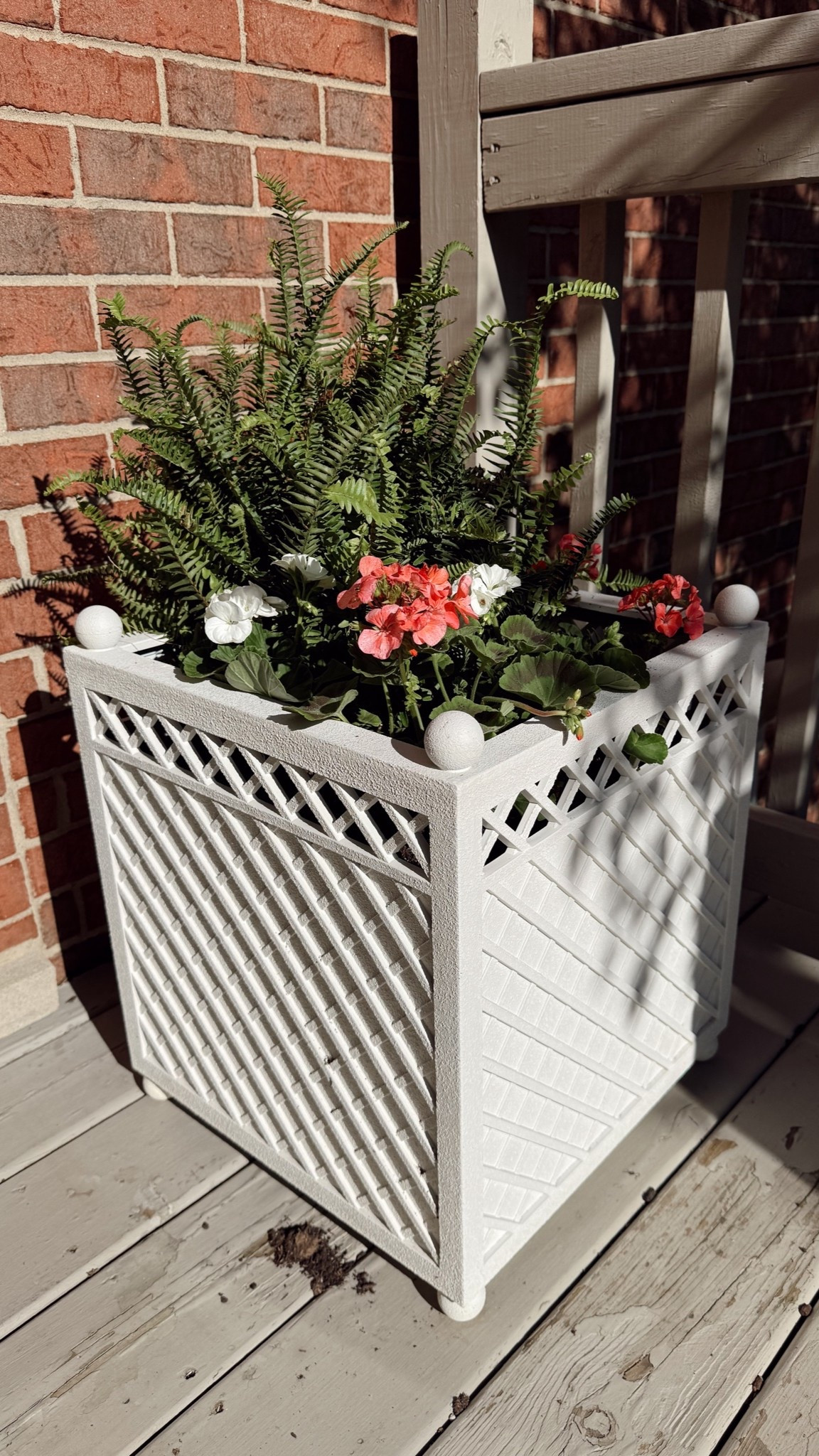 @target #ad #sponsored the cutest planter I ever did see!! Wow so beautiful, loving this on our back porch. We need to redo our back porch but while awaiting to, these planters make the entrance area so inviting and beautiful! Love the lattice design and cube shape. I planted real fern and geraniums in them. Obsessed! 😍

#LTKHome