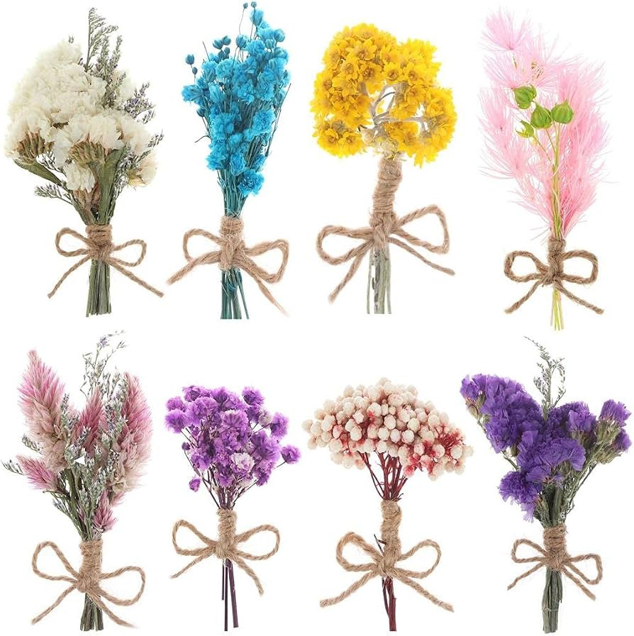 WWahuayuan 8 Pcs Mini Gypsophila Daisy Dried Flowers Bouquets for DIY Craft, Home, Wedding Decor | Amazon (US)