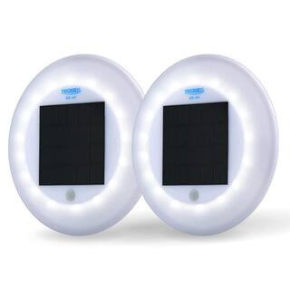 Solar Pool Lights (2-Pack) | The Home Depot