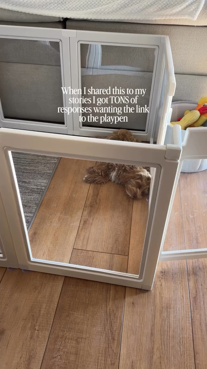 Puppy playpen 💕