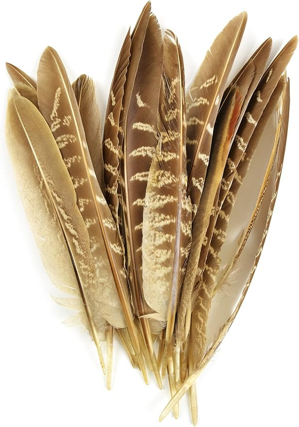 Touch of Nature 38192 Pheasant Wing Quill, 7-Inch | Amazon (US)