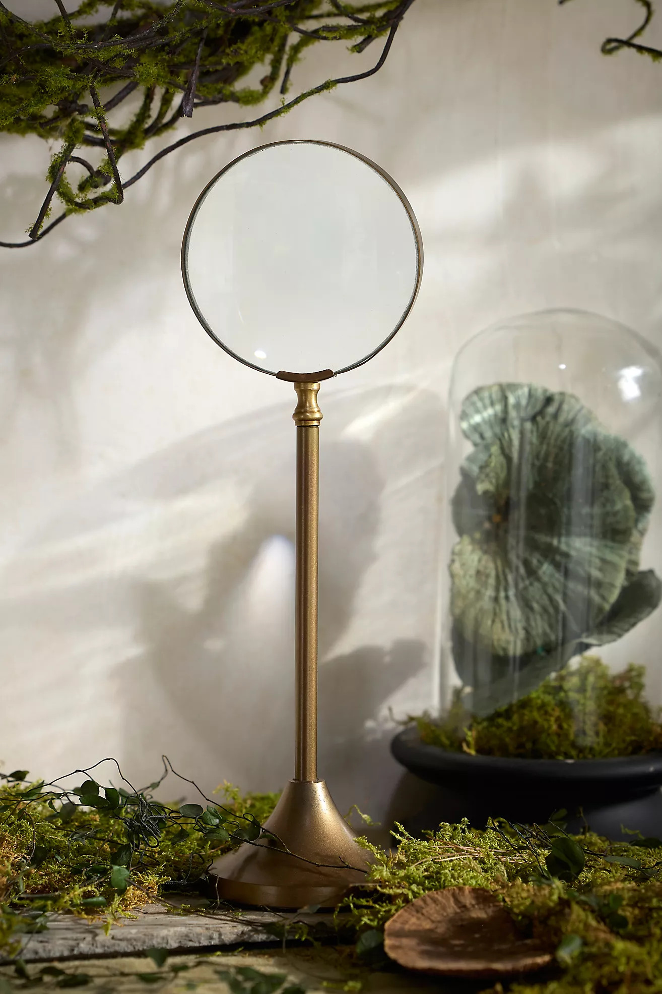 Magnifying Glass on Stand | Terrain