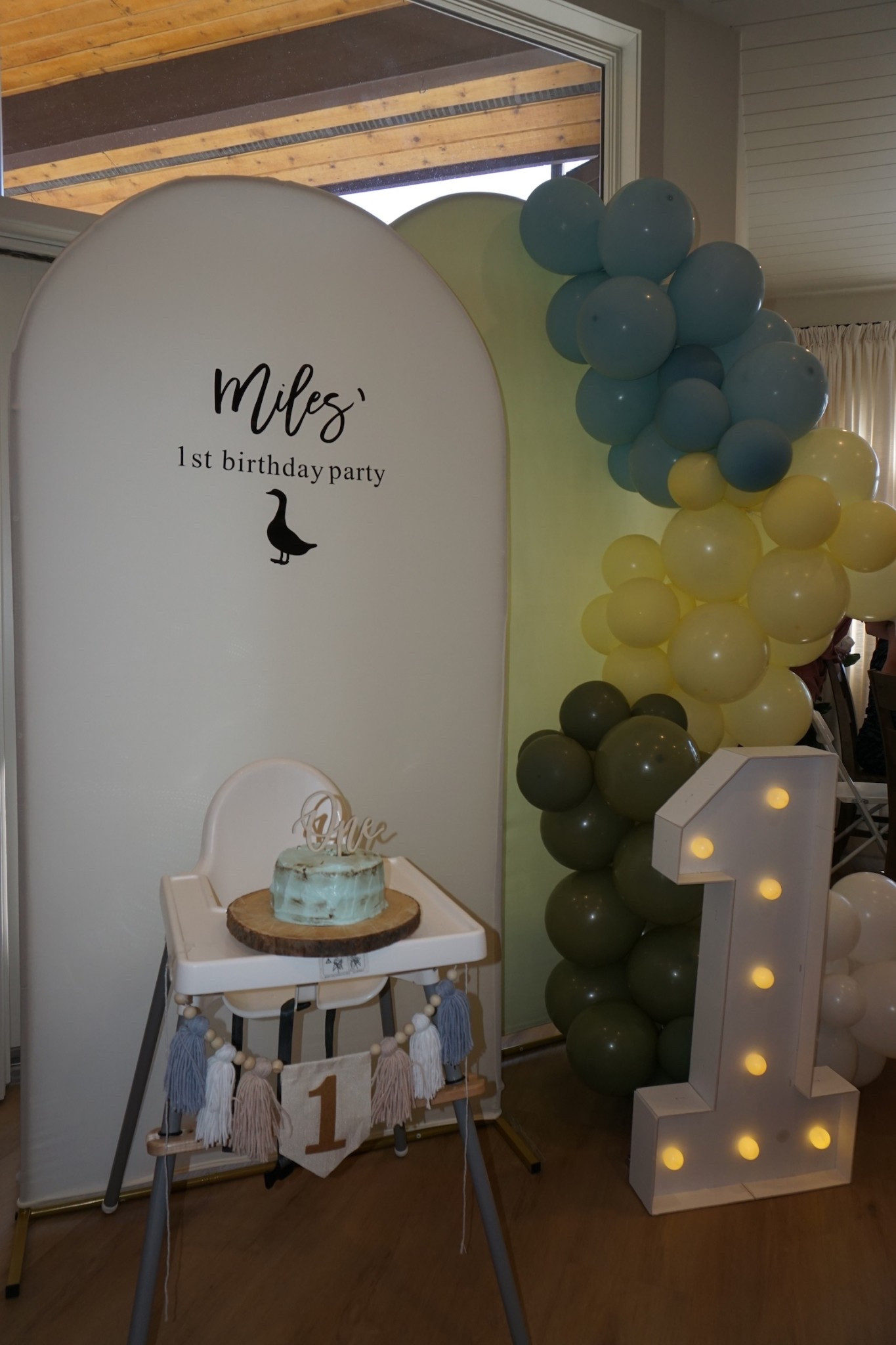 "ONE silly goose” birthday theme! 

#LTKFindsUnder50 #LTKParties #LTKKids