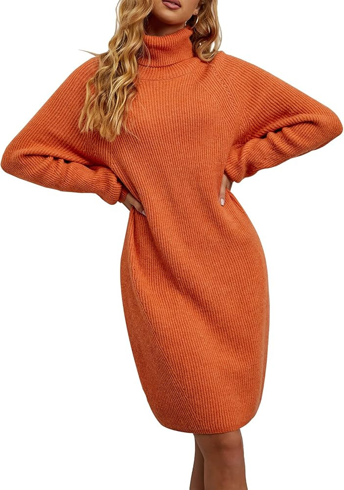 Sounity Women's Turtleneck Long Sleeve Loose Oversize Knit Long Pullover Sweater Dress | Amazon (US)