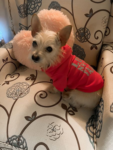 Zoey in her pink Valentine’s Day hoodie on deal for $7.99 - dog clothes - dog products - pet products - printed recliner - heart pillow - Valentine’s Day decor - Amazon pets - Amazon home - Amazon deals - Amazon finds 

#LTKSeasonal #LTKsalealert #LTKhome