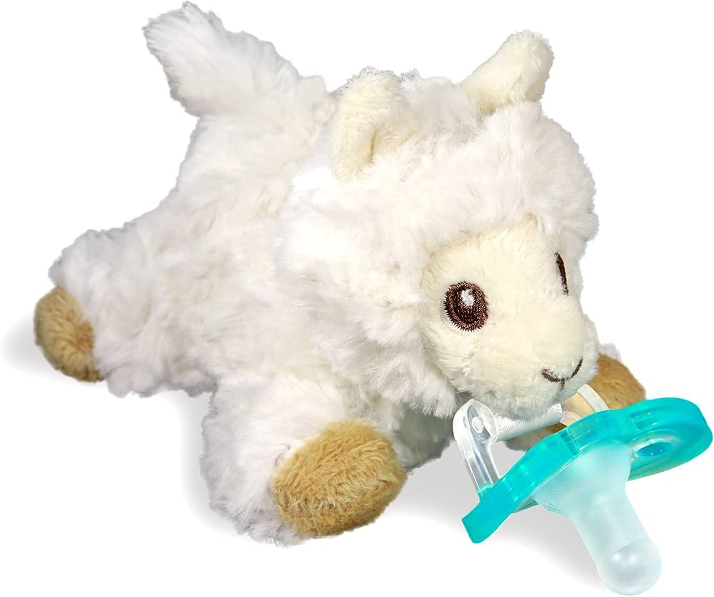 RaZbaby RaZbuddy JollyPop Pacifier Holder w/Removable Baby Pacifier - 0m+ - BPA Free - (Llama) | Amazon (US)