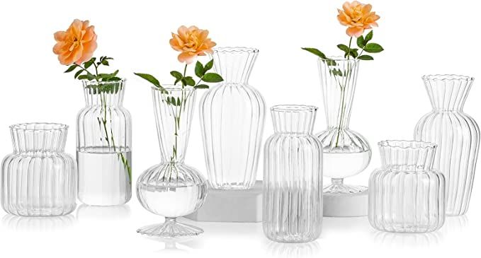 Mini Glass Vases for Centerpieces - Hewory Clear Small Bud Vases in Bulk, Cute Flower Vases Set f... | Amazon (US)