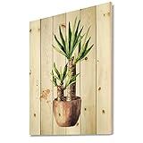 DesignQ Yucca Tree In The Ceramic Flower Pot - Traditional Print on Natural Pine Wood | Amazon (US)