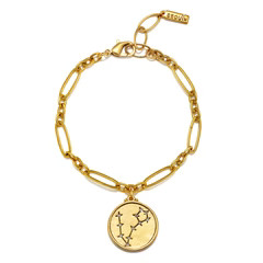 Pisces Constellation Charm Bracelet | Sequin