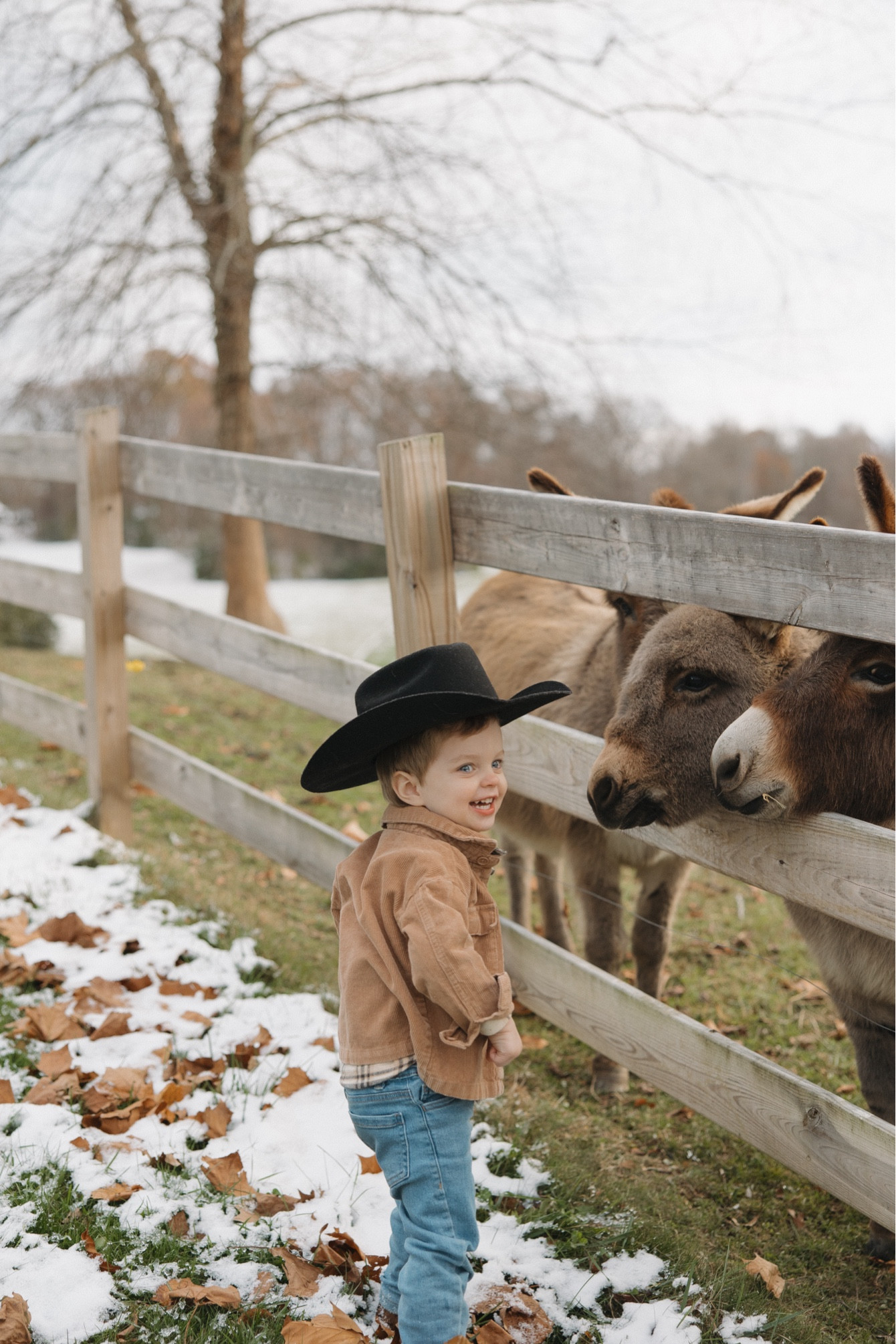 Tiny cowboy 🤠

#LTKWorkwear #LTKFamily #LTKKids