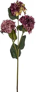 Vickerman 33" Mauve Artificial Hydrangea Spray with Three Flower Heads, 2 per Bag. | Amazon (US)