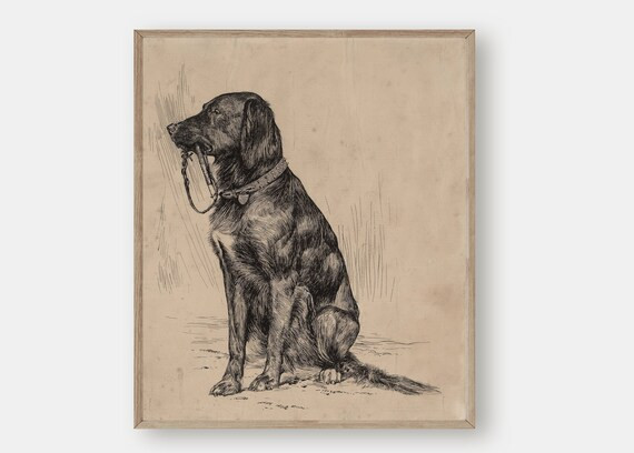 Labrador Art Print Dog Sketch Antique Art Printable Wall - Etsy | Etsy (US)