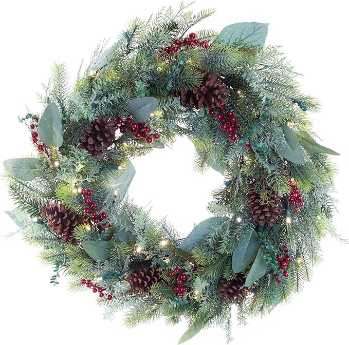 [30 Inch Artificial Christmas Wreath] - Winter Frost Collection - Natural Decoration - Pre Lit wi... | Amazon (US)