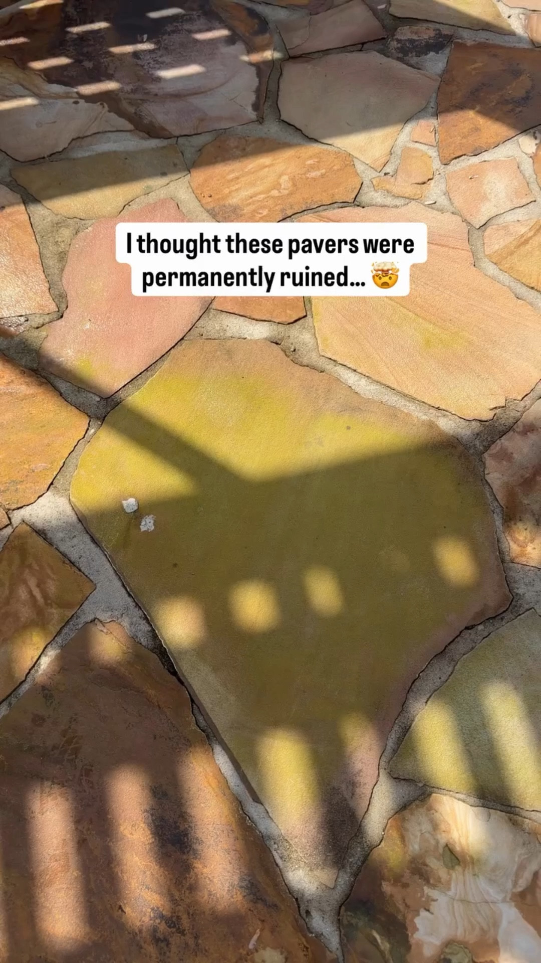 I was convinced these pavers were permanently ruined…
Nothing I tried touched this mildew.

Then I tried this—and it literally started disappearing in seconds.

No pressure washer.
No scrubbing.
No hours wasted.

I wish I knew this sooner because this shows up EVERY year.

👉🏻 Save this so you’re not starting from scratch next time.

#LTKHome