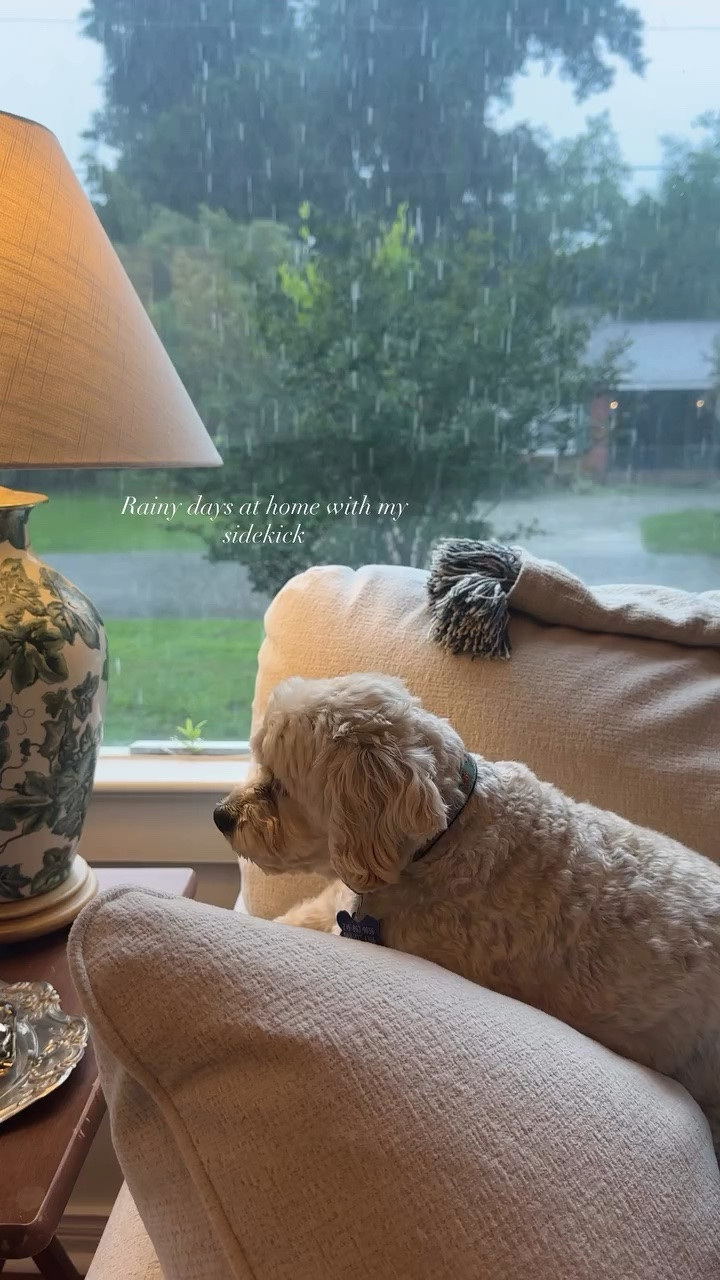 Rainy days at home with my sidekick 🌧️ 🐶

#LTKdayinmylife #LTKmomlife #LTKHome