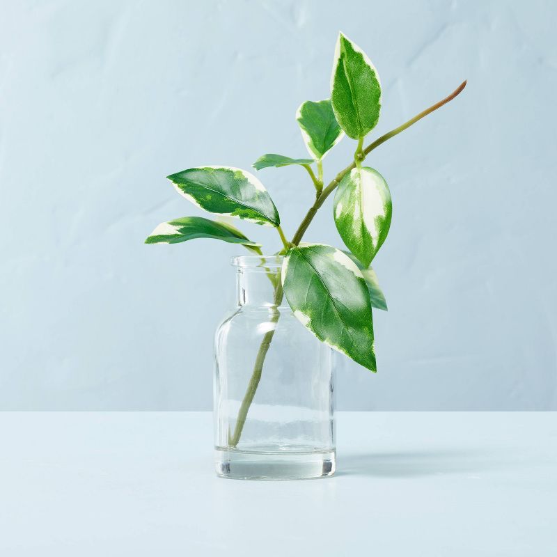Faux Mini Variegated Hoya Stem Glass Arrangement - Hearth & Hand™ with Magnolia | Target