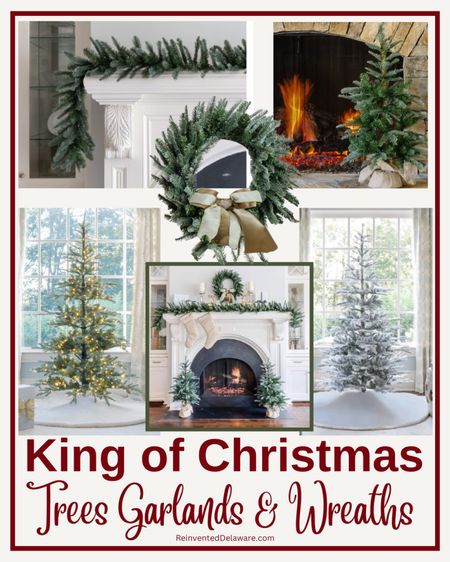 King of Christmas has the most beautiful trees, garlands, wreaths and other decor. I love our King Noble Fir that is prelit! It’s so real looking and no messy needles! A new tree would make a wonderful family gift!

#LTKHoliday #LTKSeasonal #LTKGiftGuide