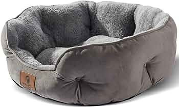 Asvin Small Dog Bed for Small Dogs, Cat Beds for Indoor Cats, Pet Bed for Puppy and Kitty, Extra ... | Amazon (US)