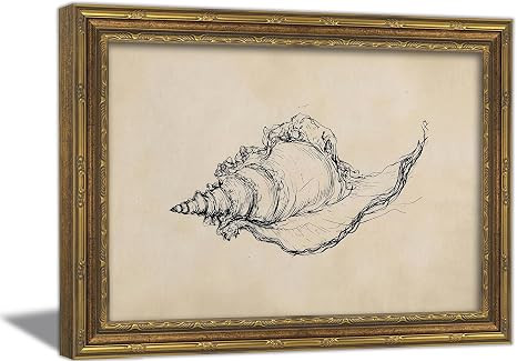 Vintage Seashell Sketch Canvas Wall Art, Framed Nautical Conch Painting Picture Poster Print, Min... | Amazon (US)