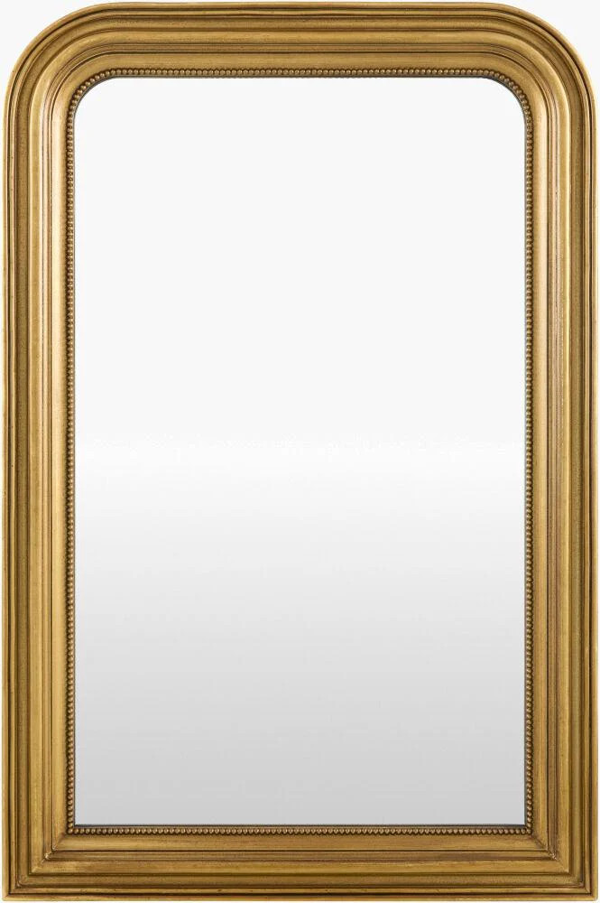 Livabliss Phillipe Phil-001 36"H X 24"W X 2"D Mirror | DecoratorsBest