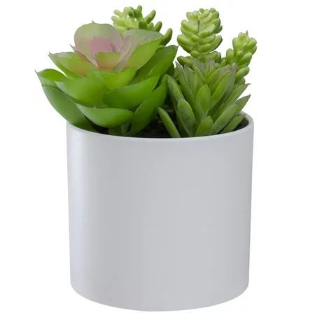 Northlight 5.5” Mixed Artificial Succulent Arrangement in a White Pot | Walmart (US)