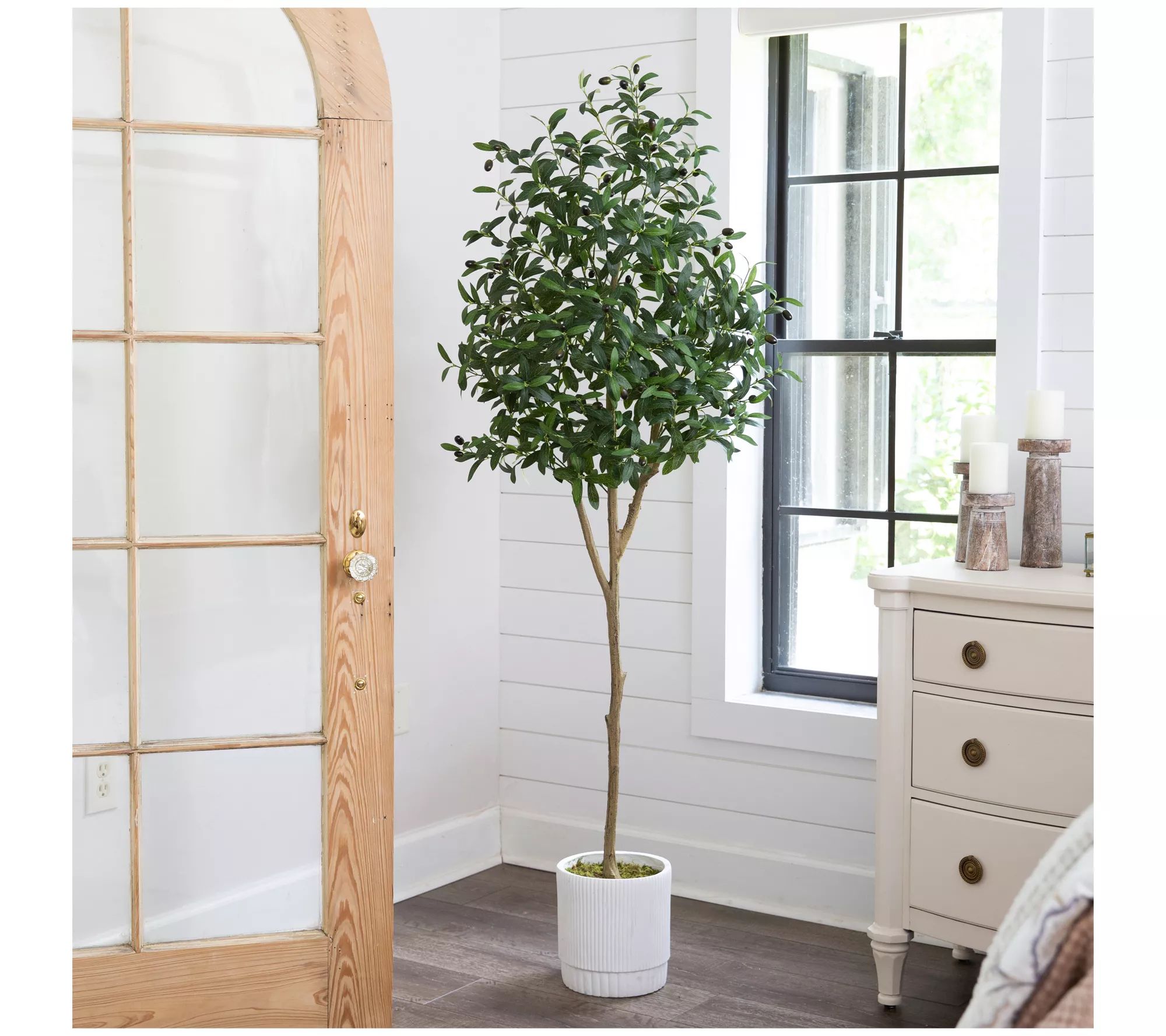 Nearly Natural 6' Artificial Olive Tree with White Planter - QVC.com | QVC