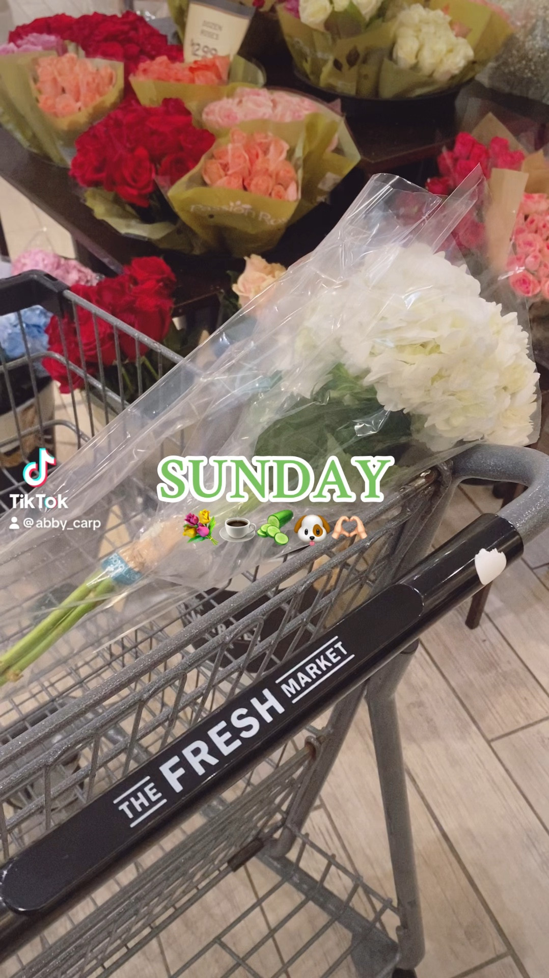 Moments from my Sunday 💐☕️🥒🐶🫶🏻

#LTKHome