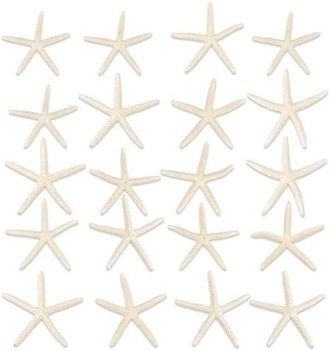 Jangostor 20 PCS Starfish 2.5-4 Inch Ocean Beach Starfish-Natural Seashells Starfish Perfect for ... | Amazon (US)
