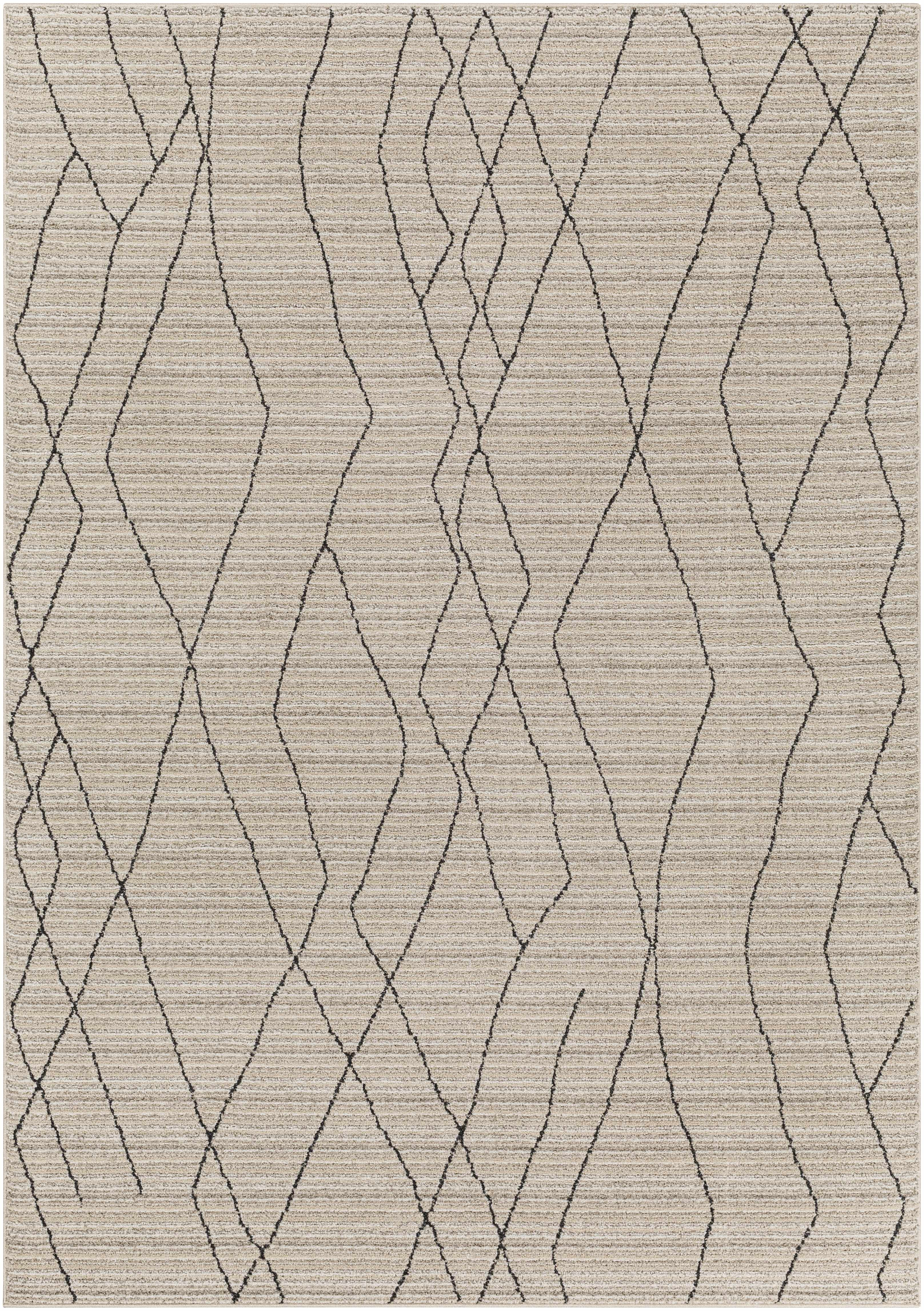 Evansburg Area Rug | Boutique Rugs