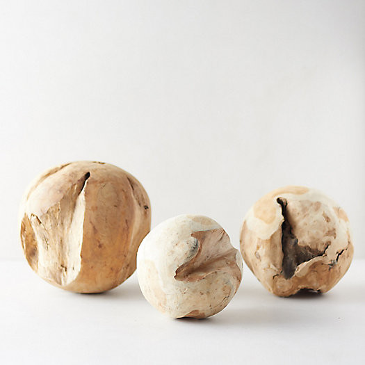 Teak Sphere | Terrain