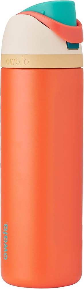 Owala Disney Princess FreeSip Insulated Stainless Steel Water Bottle with Straw for Sports and Tr... | Amazon (US)