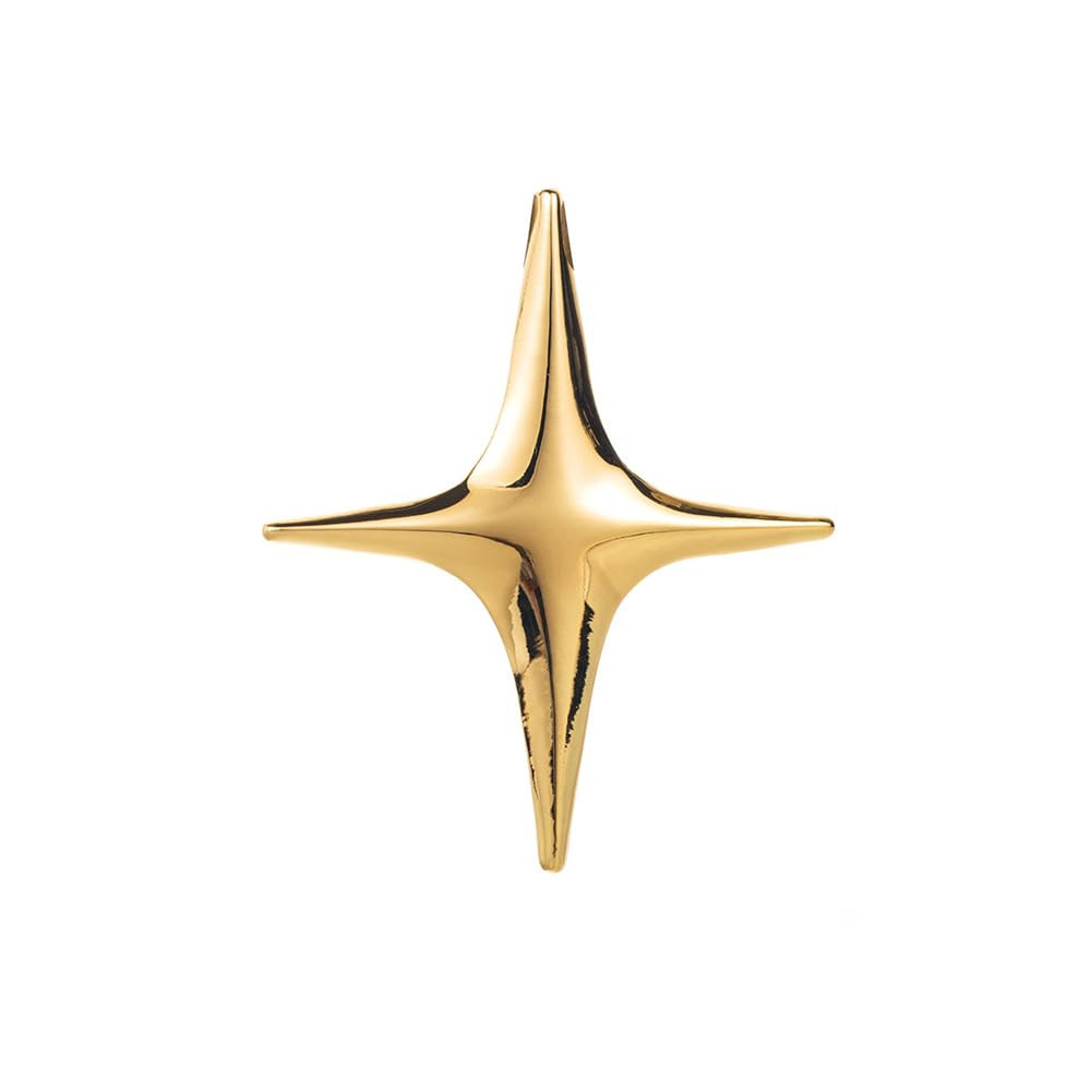 Gold Star Brooch Pin for Women Men Polished Stainless Steel Fashion Simple Brooches Lapel Pins Un... | Amazon (US)