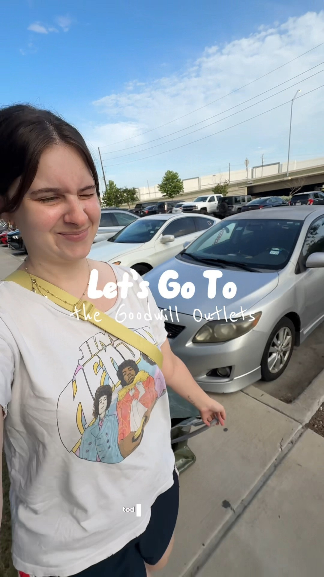 Goodwill Bins Vlog!

#LTKvlog
