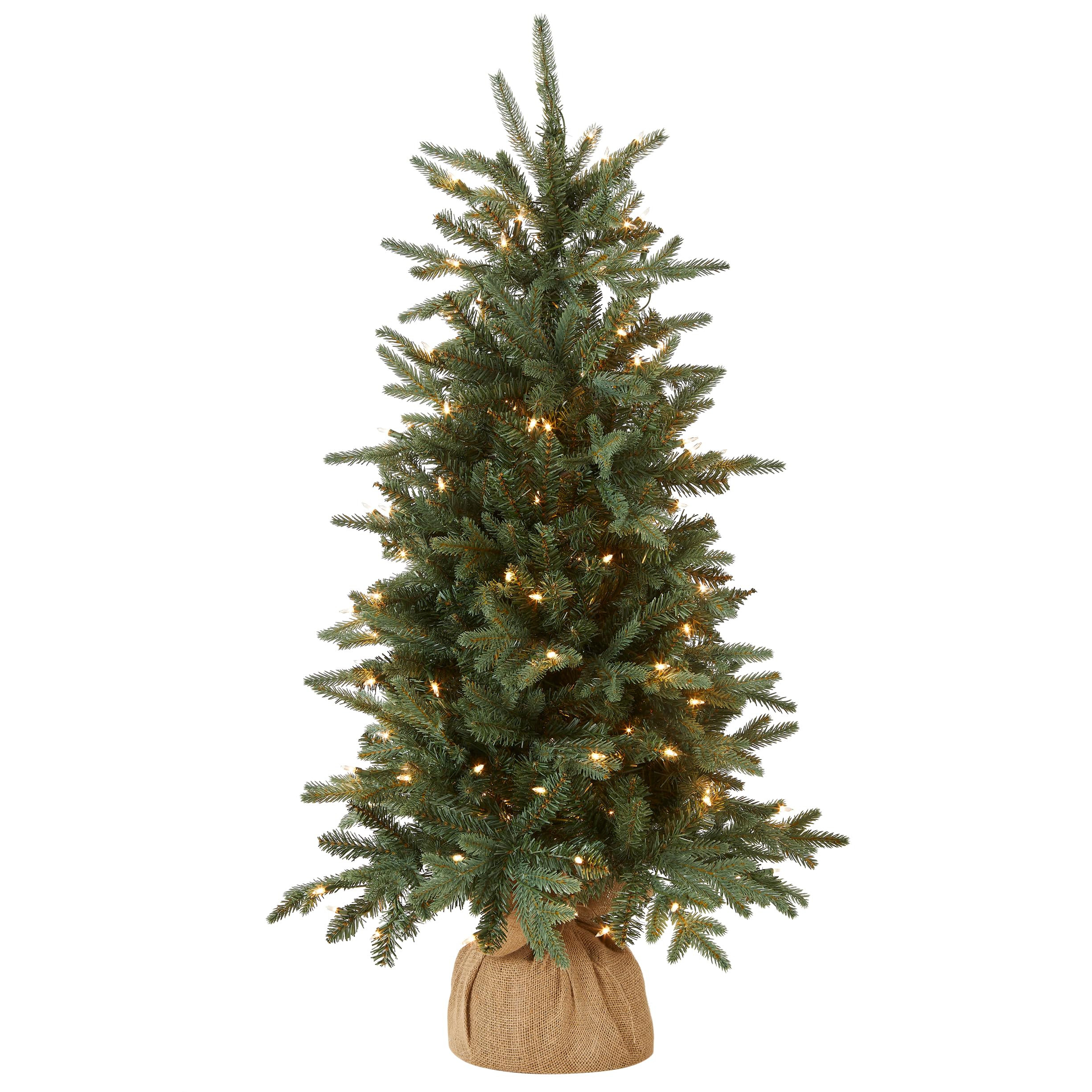 National Tree Company 4 ft Pre-Lit Everyday Collection Mini Artificial Christmas Tree, 150 Clear ... | Amazon (US)