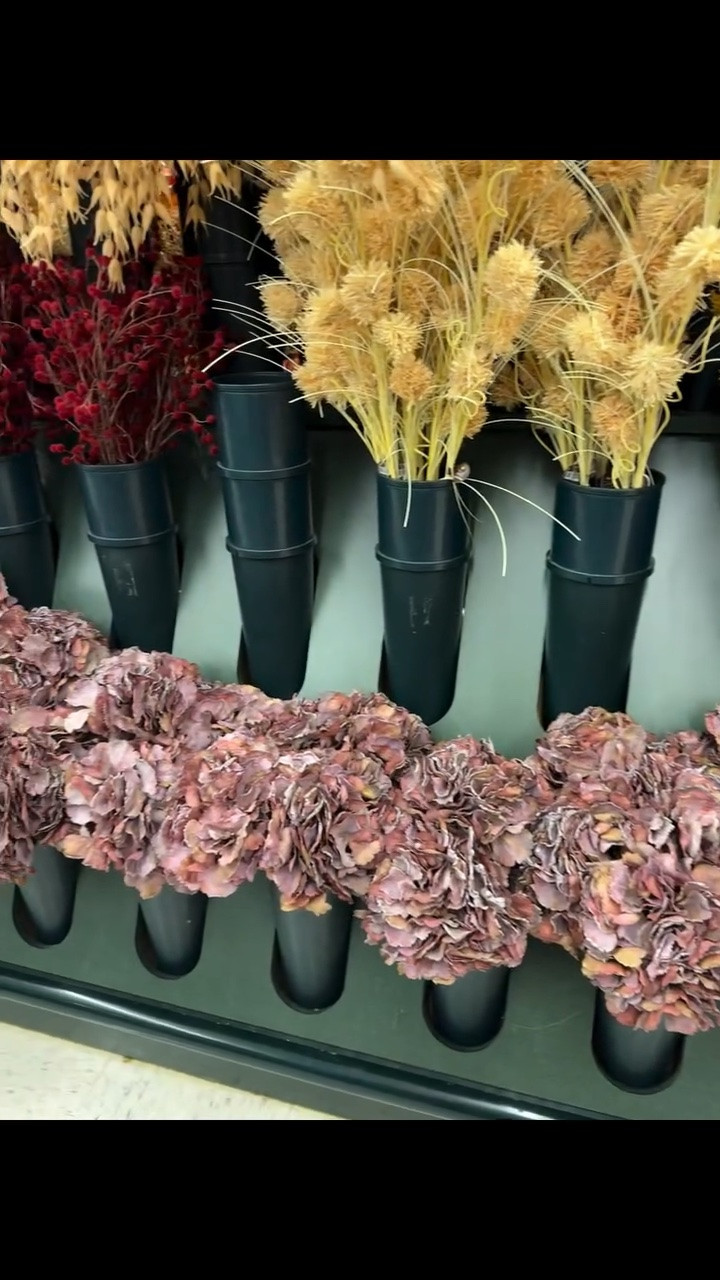 Some of my favorite faux hydrangeas from Hobby Lobby are back! They are a beautiful dusty mauve color.  They’re not just for fall, but can be styled year round. Here’s how I’ve styled them previously 🌸

Hydrangea SKU: 6040950

Everything linked below👇🏼 

#homedecorideas #hobbylobby #floral #home

#LTKSeasonal #LTKHome #LTKmomlife