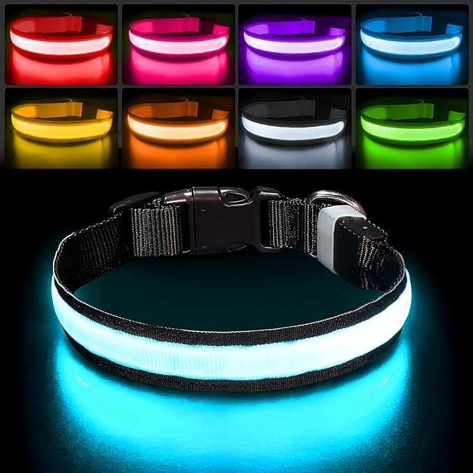 PcEoTllar Light up Dog Collar Lights for Night Walking - LED Dog Collar Light Rechargeable Color ... | Amazon (US)