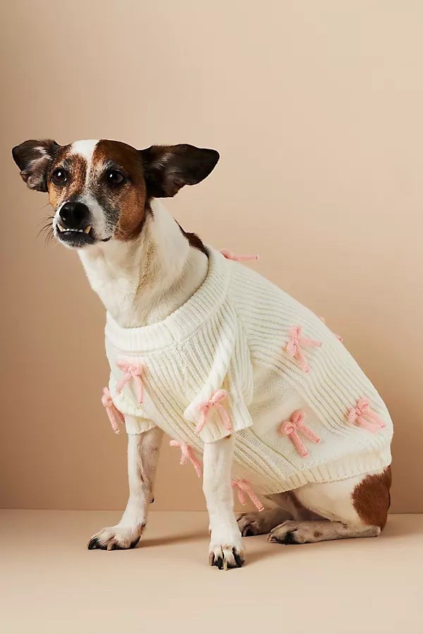 Dog sweater with bows 

#LTKPets #LTKFindsUnder100